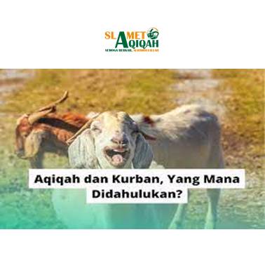 Qurban atau Aqiqah mana yang didahulukan?
