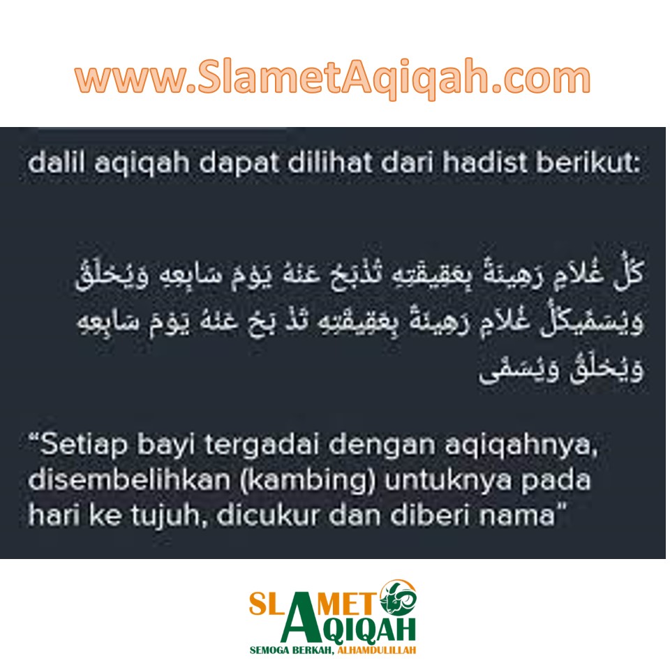 Tiga Hadist Kumpulan Tentang Aqiqah Beserta Penjelasan nya