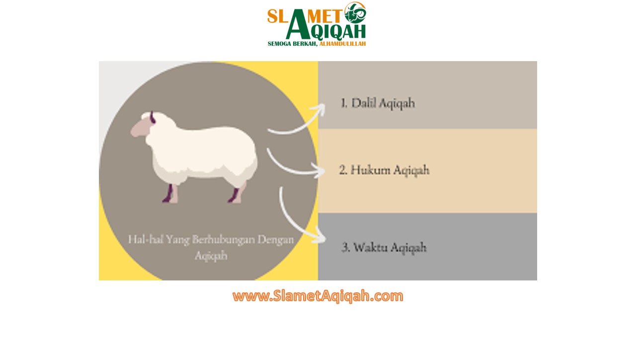 Hukum Melaksanakan Aqiqah Dalam Islam