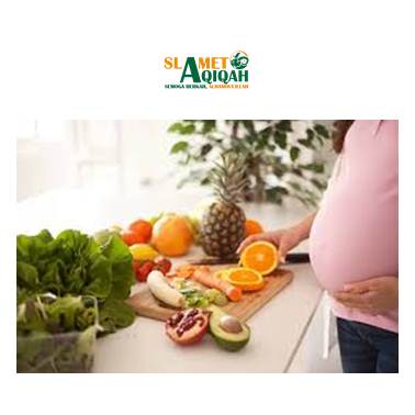 Beragam Jenis Makanan Yang Sehat Untuk Bumil dan Buah Hati
