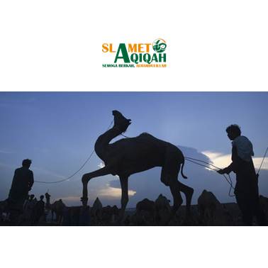 Hadits Tentang Keutamaan Berqurban