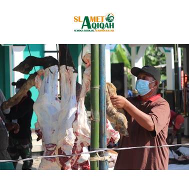 Tata Cara Penyembelihan Hewan Qurban
