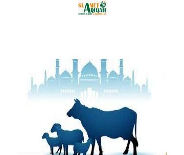 Orang Mampu tapi Tidak Berkurban menurut Hukum Islam