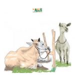 Makna dan Hikmah di Balik Qurban: Lebih dari Sekadar Tradisi