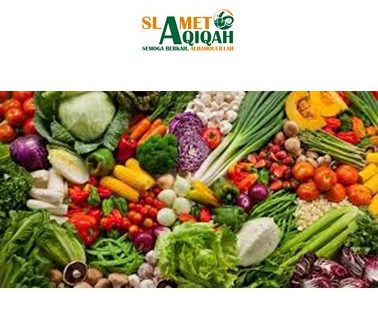 Pengertian, Jenis dan Manfaat Sayuran Bagi Ibu Hamil